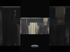 EN 10250-2 S355J2G3 exzentrische Welle exzentrische Kupplung geschmiedete Teile